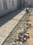 Paving & cobble stones Paving & cobble stones